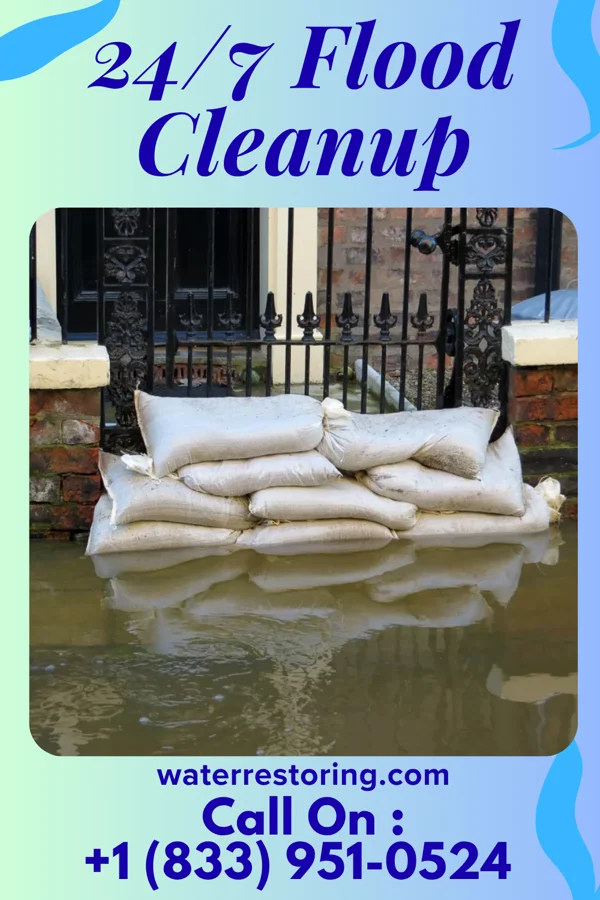 24/7 Flood Cleanup in Deal, NJ