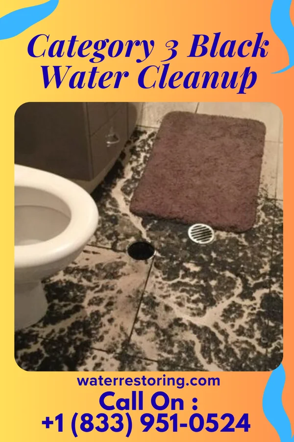 Category 3 Black Water Cleanup in Deal, NJ