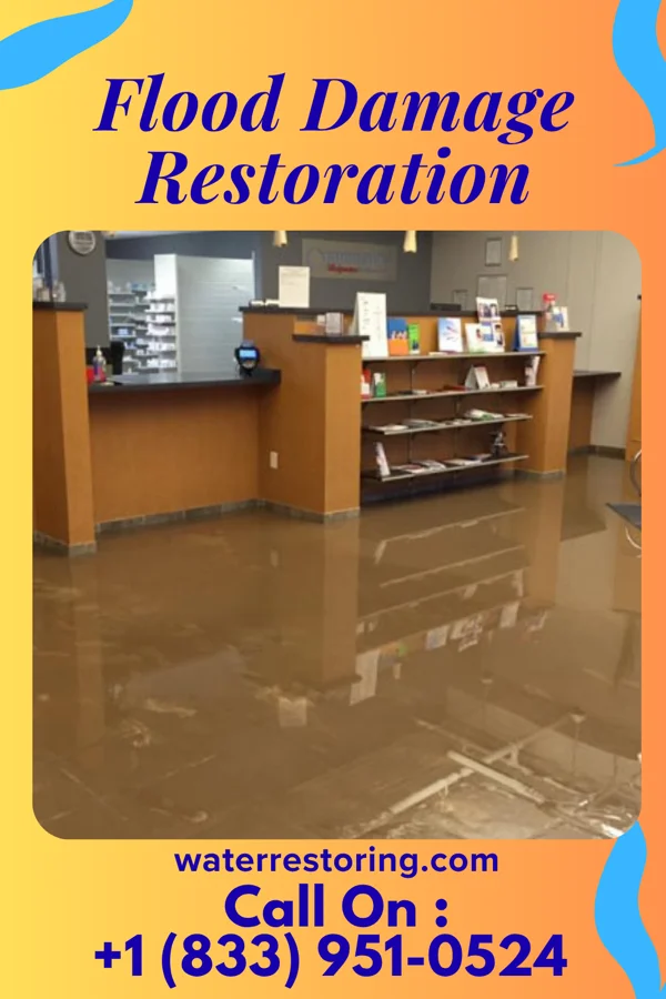 Flood Damage Restoration in Deal, NJ