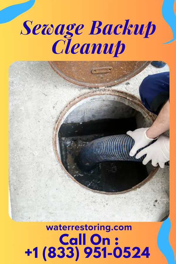 Sewage Backup Cleanup in Deal, NJ