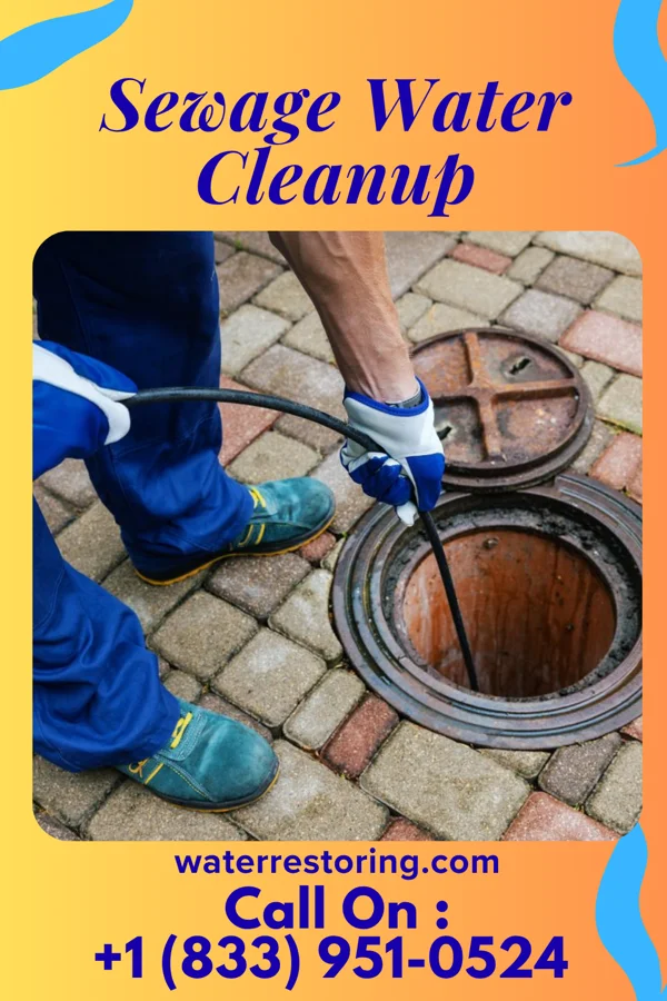 Sewage Water Cleanup in Deal, NJ